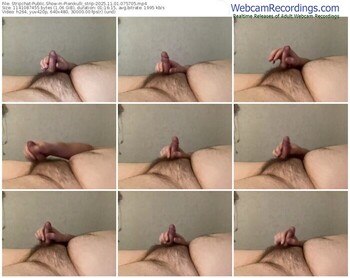 stripchat-pienikulli_strip-11-01-2025-07-57-05