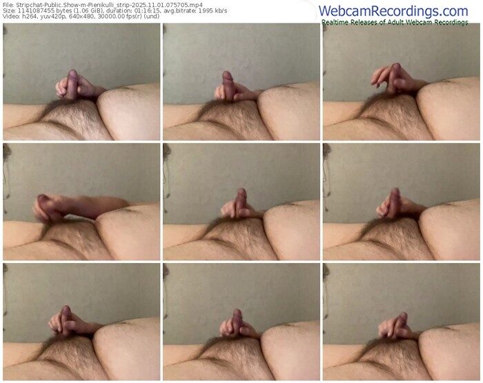 stripchat-pienikulli_strip-11-01-2025-07-57-05