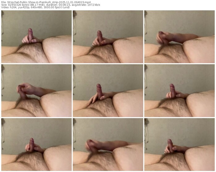 stripchat-pienikulli_strip-11-01-2025-09-40-23