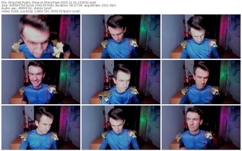 stripchat-stevetiger-11-01-2025-15-39-32