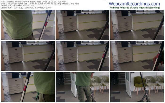 stripchat-tigerone19-11-01-2025-10-19-29