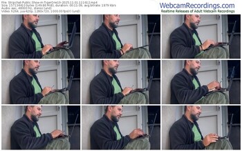 stripchat-tigerone19-11-01-2025-11-16-12