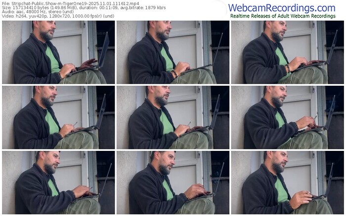 stripchat-tigerone19-11-01-2025-11-16-12