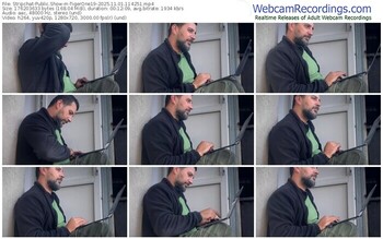 stripchat-tigerone19-11-01-2025-11-42-51