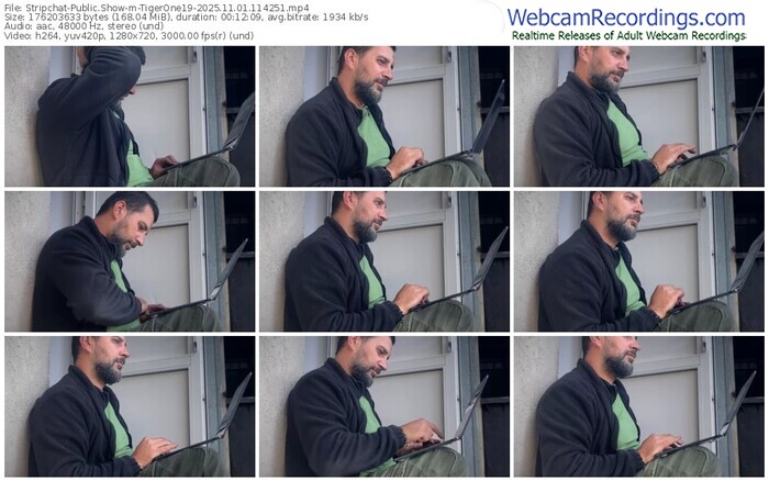 stripchat-tigerone19-11-01-2025-11-42-51