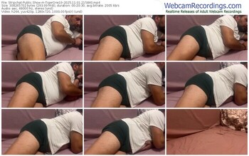 stripchat-tigerone19-11-01-2025-21-58-40