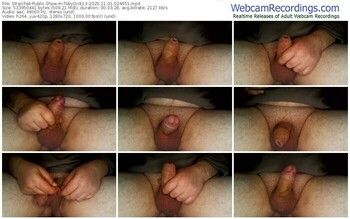 stripchat-tobydick13-11-01-2025-02-46-51