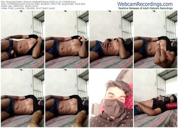 stripchat-wettedglimpse-11-01-2025-10-05-08