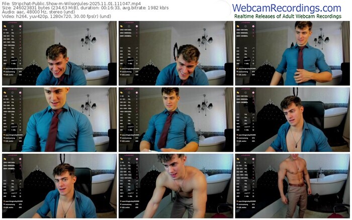 stripchat-wilsonjules-11-01-2025-11-10-47