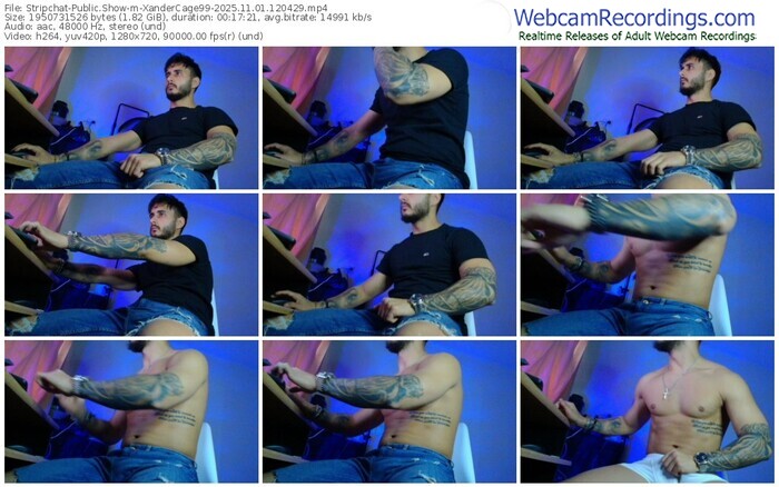 stripchat-xandercage99-11-01-2025-12-04-29