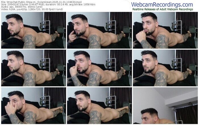 stripchat-_dylangreen-11-01-2025-10-46-30