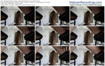 stripchat-alkro63-11-01-2025-11-24-21