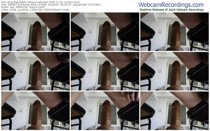 stripchat-alkro63-11-01-2025-11-24-21