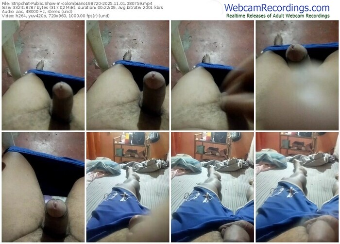 stripchat-colombiano198720-11-01-2025-08-07-59