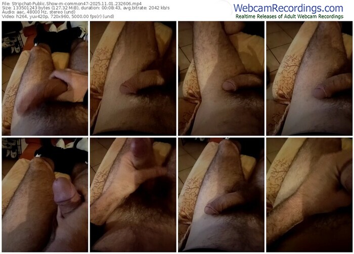 stripchat-common47-11-01-2025-23-26-06