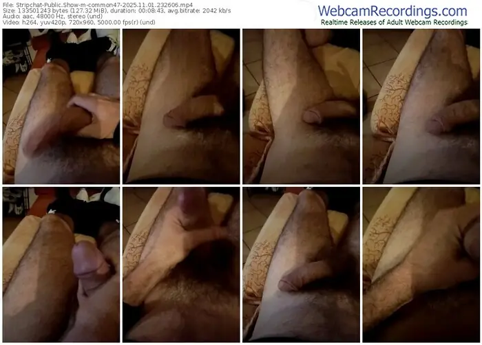 stripchat-common47-11-01-2025-23-26-06