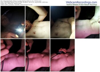 stripchat-great_feeling-11-01-2025-17-05-02