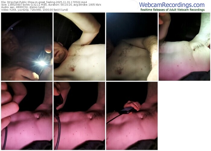 stripchat-great_feeling-11-01-2025-17-05-02