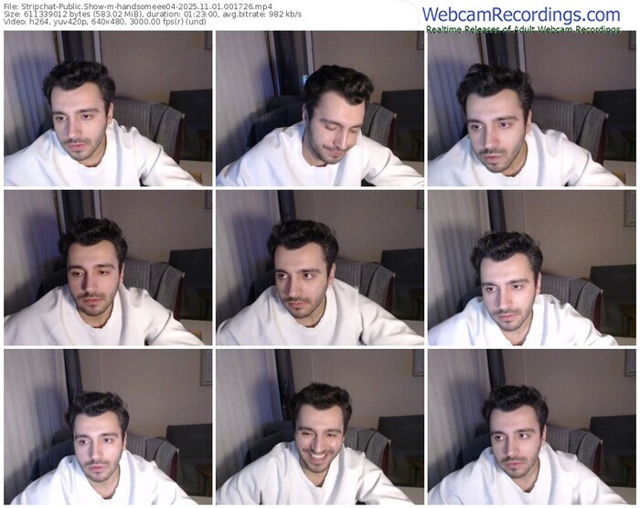 stripchat-handsomeee04-11-01-2025-00-17-26