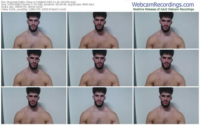 stripchat-hiddenf-11-01-2025-00-16-56