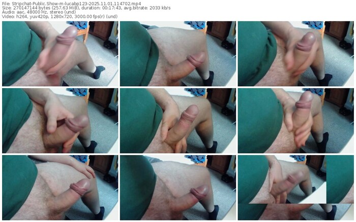 stripchat-lucabp123-11-01-2025-11-47-02