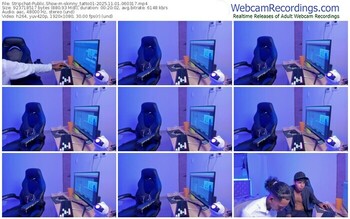 stripchat-skinny_tatto01-11-01-2025-06-03-17