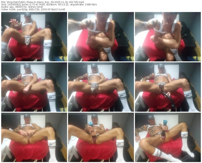 stripchat-slavic_boy_39-11-01-2025-20-17-05