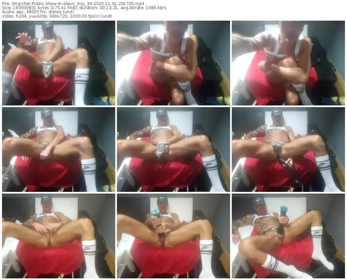 stripchat-slavic_boy_39-11-01-2025-20-17-05