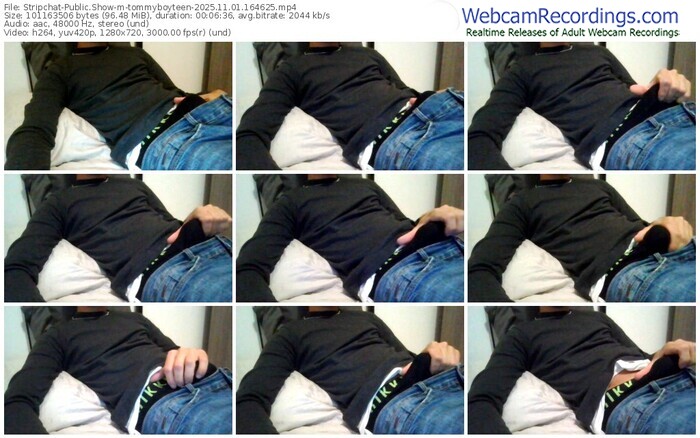 stripchat-tommyboyteen-11-01-2025-16-46-25