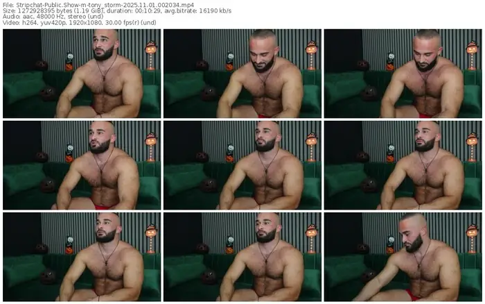 stripchat-tony_storm-11-01-2025-00-20-34