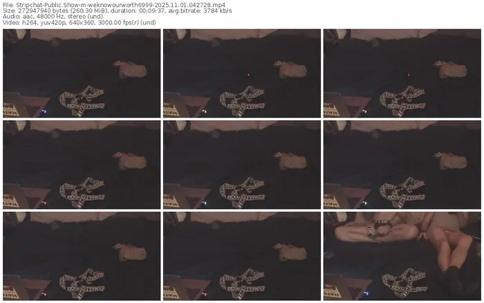 stripchat-weknowourworth6999-11-01-2025-04-27-28