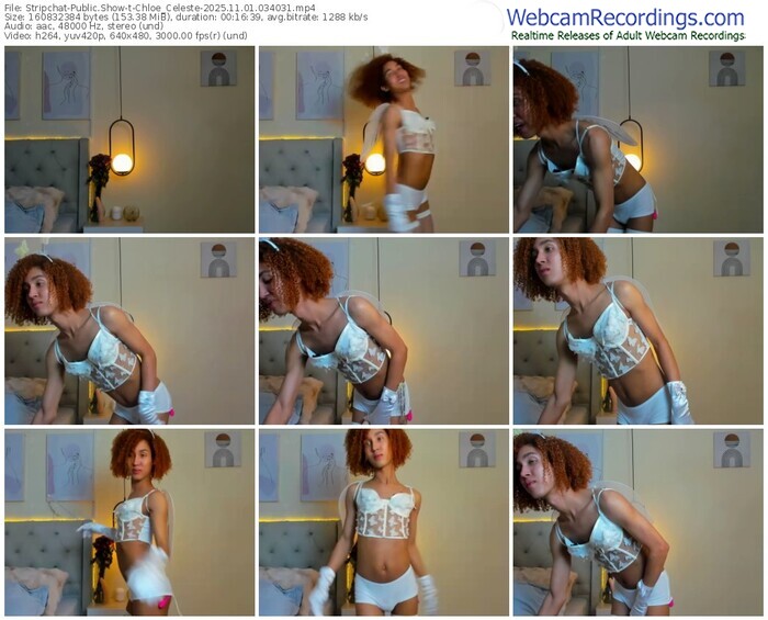 stripchat-chloe_celeste-11-01-2025-03-40-31