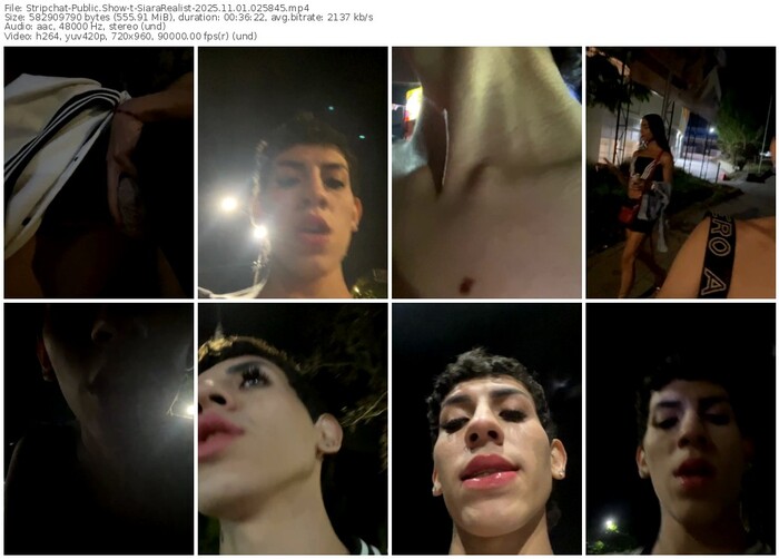 stripchat-siararealist-11-01-2025-02-58-45