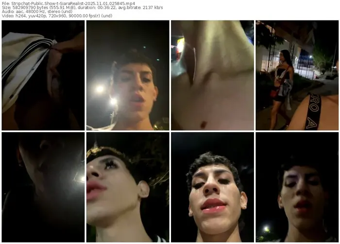 stripchat-siararealist-11-01-2025-02-58-45