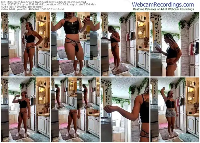 stripchat-transexualjade95-11-01-2025-21-59-48