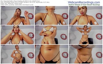 stripchat-barbie_ds-11-01-2025-14-02-00