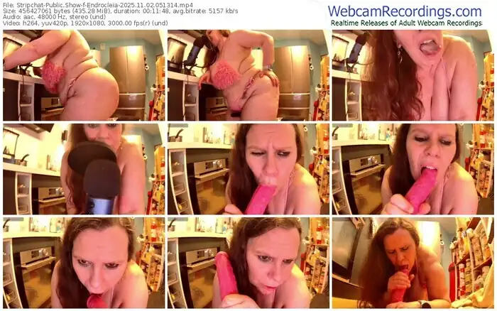 stripchat-endrocleia-11-02-2025-05-13-14