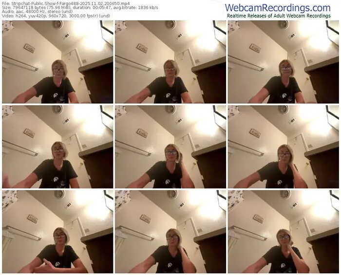 stripchat-fargo488-11-02-2025-20-06-50