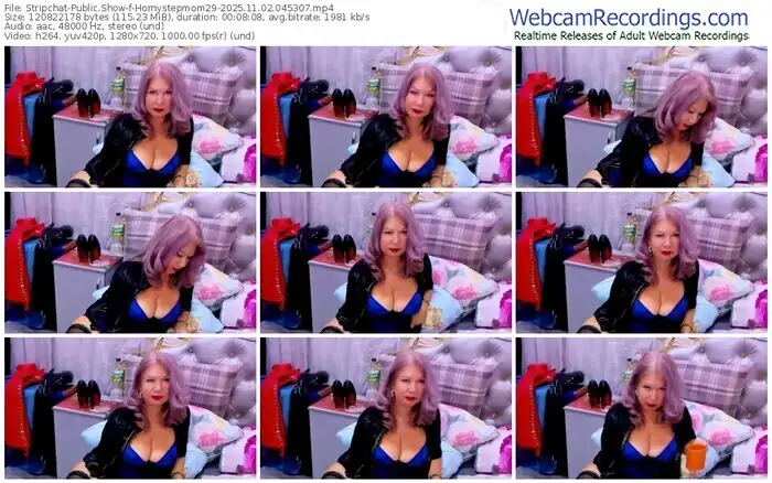 stripchat-hornystepmom29-11-02-2025-04-53-07