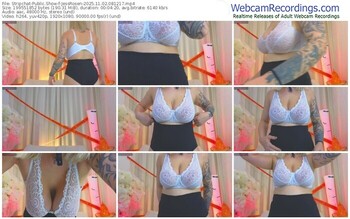 stripchat-jessrosen-11-02-2025-08-12-17