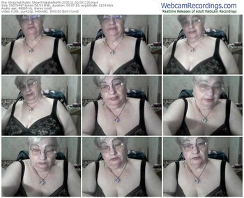 stripchat-natalienorth-11-02-2025-00-12-30