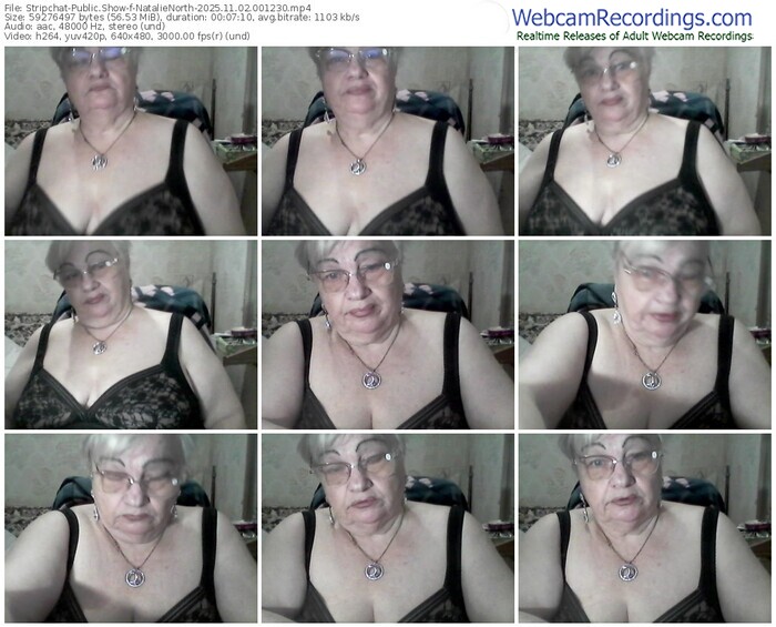 stripchat-natalienorth-11-02-2025-00-12-30