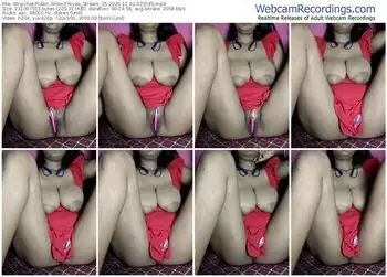 stripchat-riyaa_stream_25-11-02-2025-02-55-45