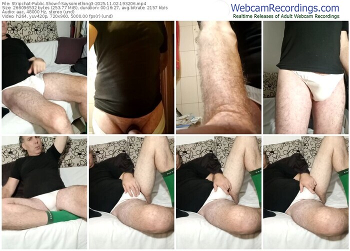 stripchat-saysomething3-11-02-2025-19-32-06