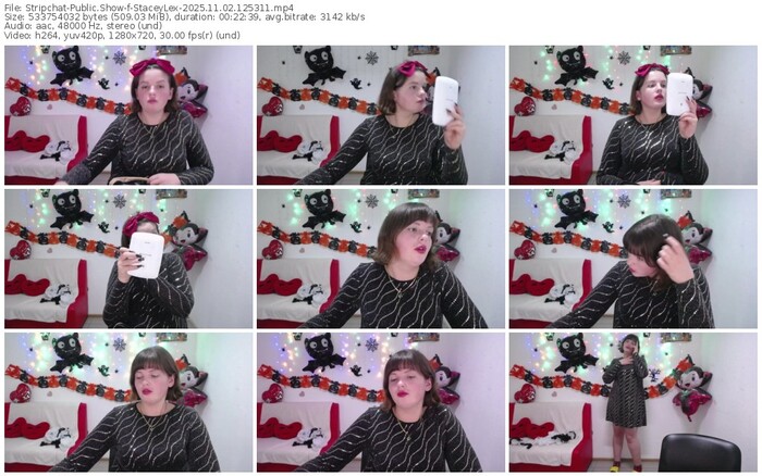 stripchat-staceylex-11-02-2025-12-53-11