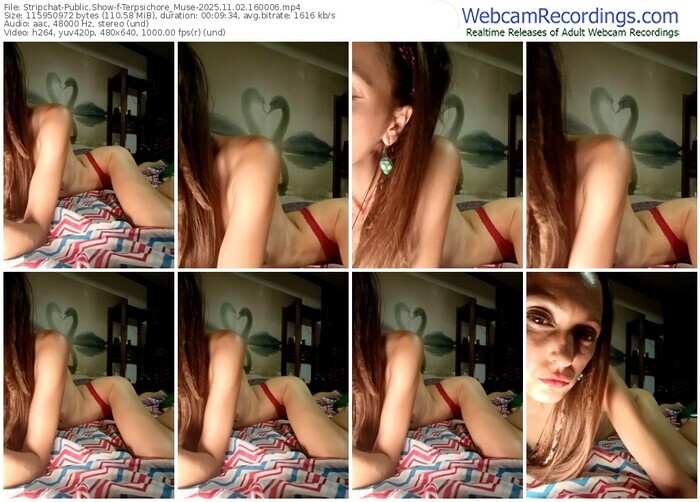 stripchat-terpsichore_muse-11-02-2025-16-00-06