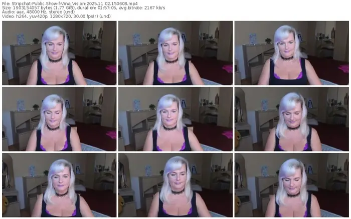 stripchat-vina_vision-11-02-2025-15-06-08