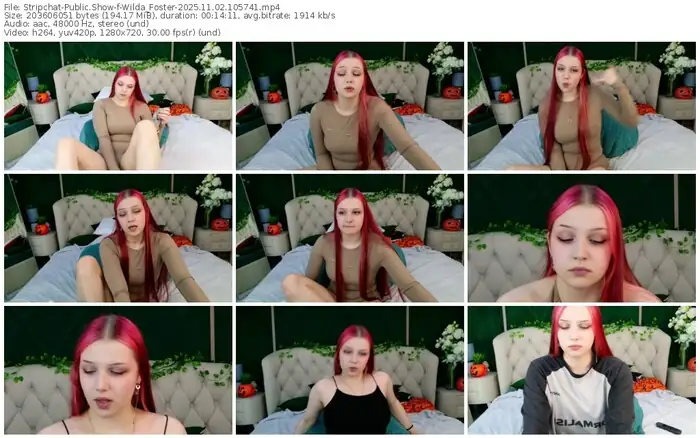 stripchat-wilda_foster-11-02-2025-10-57-41