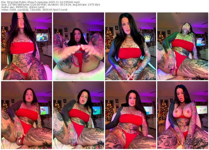 stripchat-caseykey-11-02-2025-03-59-42