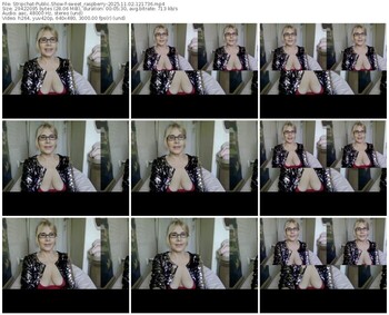 stripchat-sweet_raspberry-11-02-2025-12-17-36